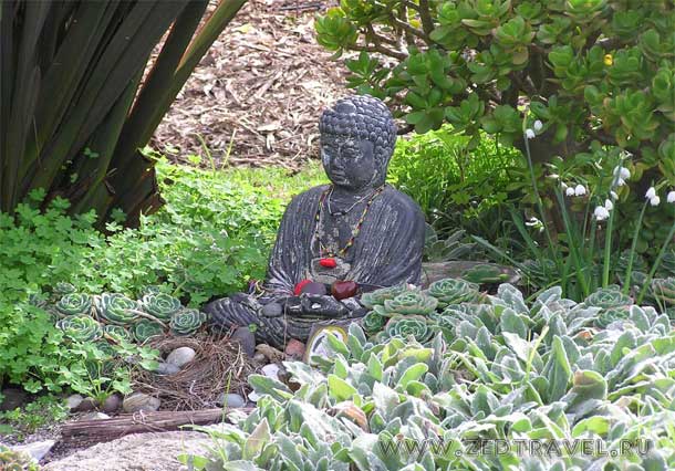 Сад Будды